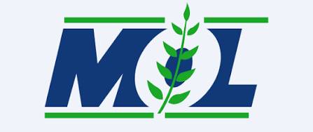 Meghmani logo